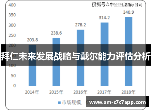拜仁未来发展战略与戴尔能力评估分析 拜仁未来发展战略与戴尔能力评估分析