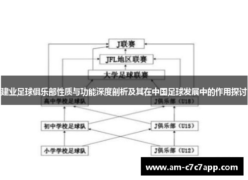 建业足球俱乐部性质与功能深度剖析及其在中国足球发展中的作用探讨