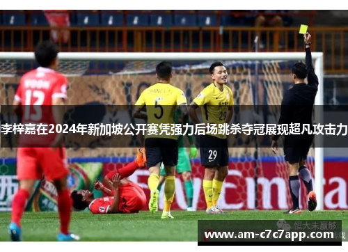 李梓嘉在2024年新加坡公开赛凭强力后场跳杀夺冠展现超凡攻击力