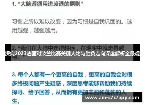 探究2023法国对波兰比赛关键人物与胜负走向深度解析全景观 探究2023法国对波兰比赛关键人物与胜负走向深度解析全景观