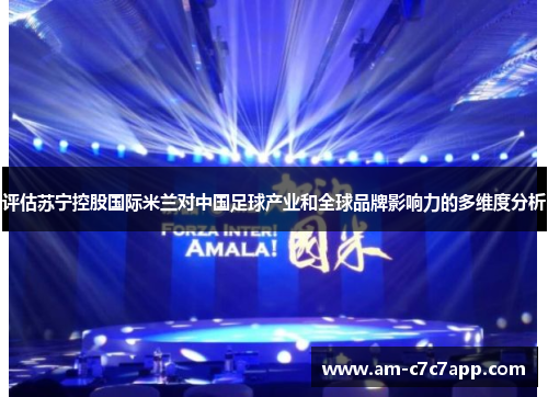 评估苏宁控股国际米兰对中国足球产业和全球品牌影响力的多维度分析