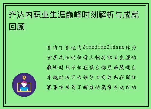 齐达内职业生涯巅峰时刻解析与成就回顾