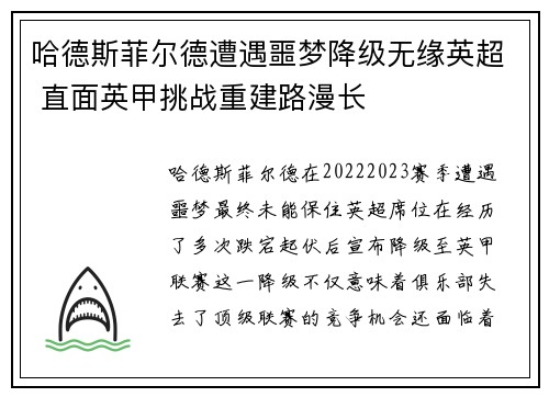 哈德斯菲尔德遭遇噩梦降级无缘英超 直面英甲挑战重建路漫长